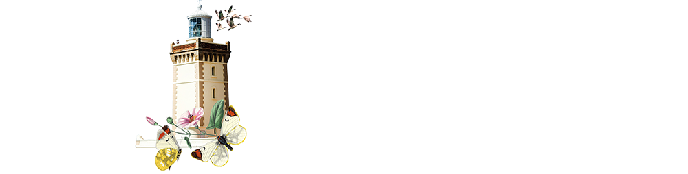 UCLG Congress Tangier 2026